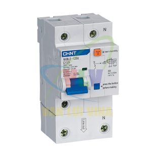 RCBO NXBLE-125G CHINT
