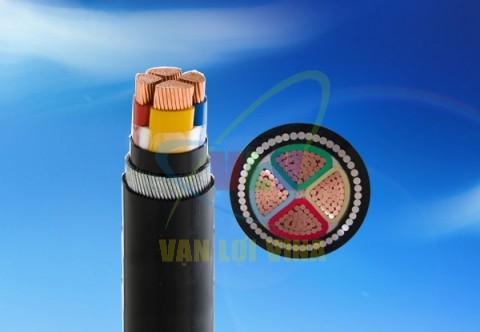 Cáp Điện Lực Hạ Thế – Ruột Dẫn Rẽ Quạt CADIVI